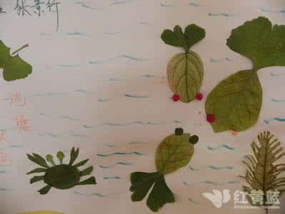 茶花树叶干枯落叶原因 落叶时分,带孩子一起做树叶画吧!
