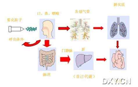 想象很美好现实很骨感 雾化治疗真的有你想象的那么美好吗?