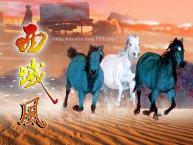 西域风情的歌曲 西 域 的 风