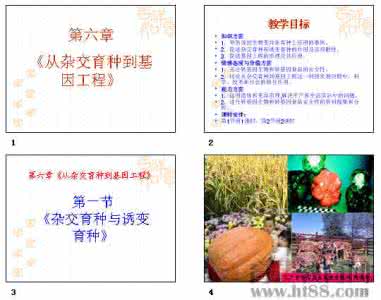 微生物杂交育种 高考生物热点冲刺:专题21 从杂交育种到基因工程