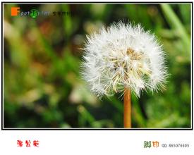 草木之中有个人打一字 草木之中有个人打一字 点一横长，一撇飘南洋，南洋有个人，只有一寸长。(打一字)