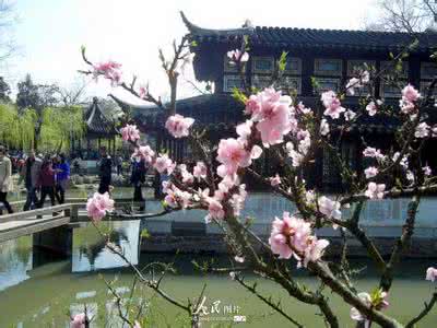 江南水乡——周庄 春花烂漫——江南水乡