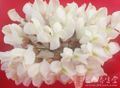 槐花的吃法 槐花的吃法 教你怎么吃槐花
