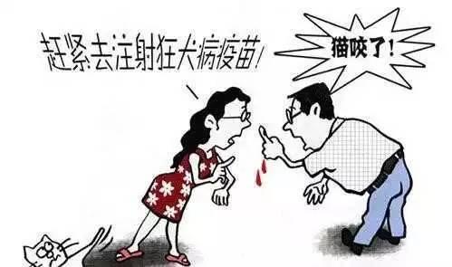 一般人不知道的冷知识 有哪些你不知道的高冷知识