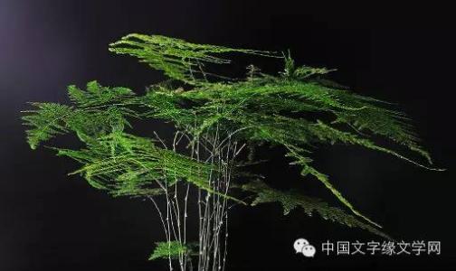 剑灵光纤延迟高 纤拔灵婉，翠云静悠