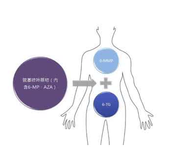嘌呤高的食物一览表 嘌呤