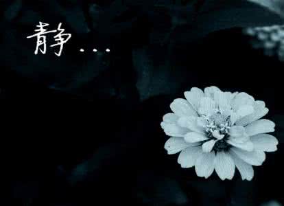 静，是一种至美的境界