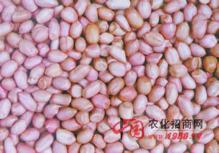 花生米价格最新行情 花生米价格最新行情 2014花生批发价格最新行情
