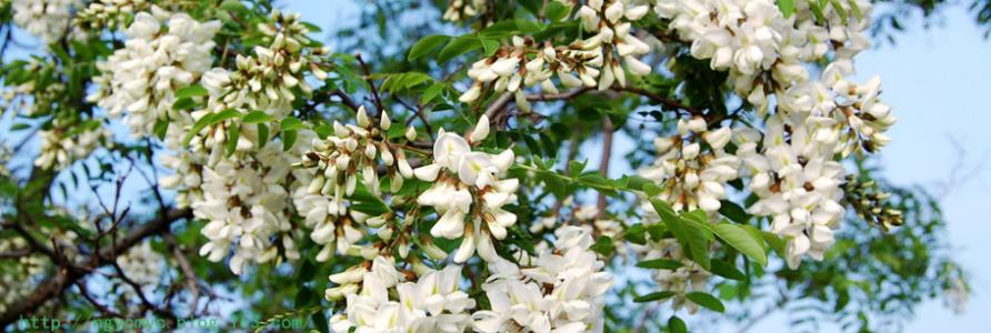 治疗癌症的最新特效药 治疗癌症的特效方