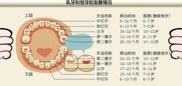 5岁宝宝换牙注意事项 宝宝到了换牙期要注意什么