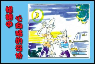 婚姻 妥协 婚姻中“心”向“脑”的妥协