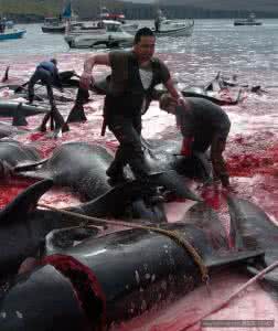 鲜血染红了他的征衣 鲜血染红了他的征衣 “头桥惨案”后人 日军见人就开枪 鲜血染红河水