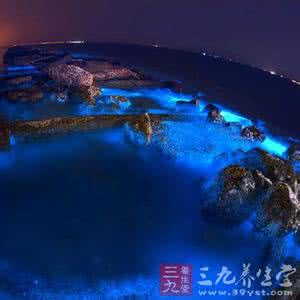蓝色荧光海滩 专家释疑“蓝色荧光海”对人体伤害