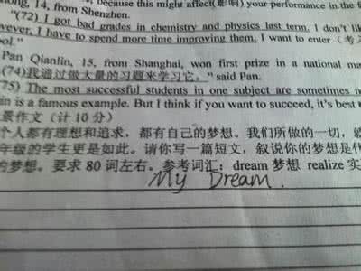 我的梦想音乐家 我的梦想——音乐家作文350字