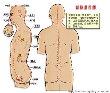 十二经络循行顺序口诀 人体经络循行和主治疾病穴位大全