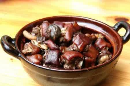 孕妇能吃狗肉吗 孕妇能吃狗肉吗 孕妇可以吃狗肉吗?