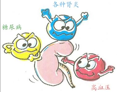 预防肾衰竭 6tips巧防肾衰竭