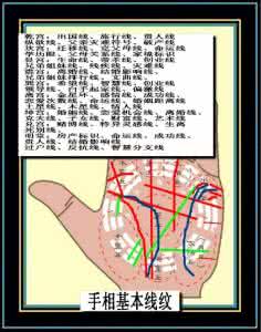 命运线 命运线中奥秘摘