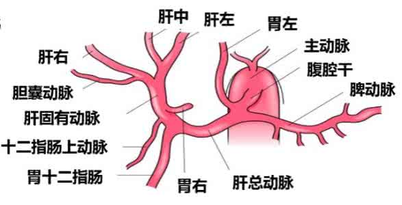 常见的肝脏疾病 肝脏出现疾病都会有这种现象