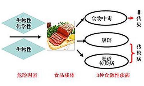 食源性疾病致病菌 食源性疾病致病菌 食源性疾病的致病因素相关