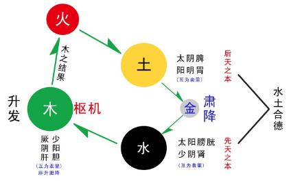 六经辩证 陈达夫六经辩证治近视