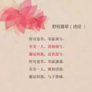 浪漫句子爱情唯美短句 浪漫唯美的爱情表白词