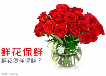 鲜花保鲜方法 鲜花怎么保鲜？鲜花的保鲜方法