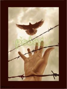 要自由歌词 要自由