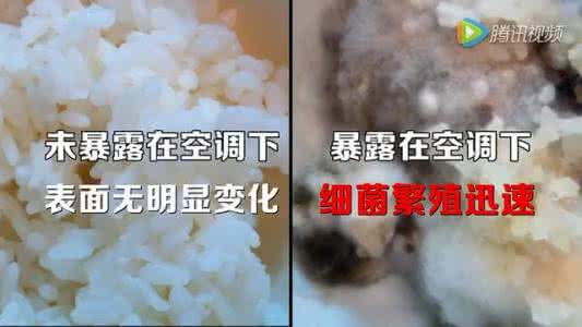一碗米饭的热量 空调下放一碗米饭 3天后的结果让人直接吓傻