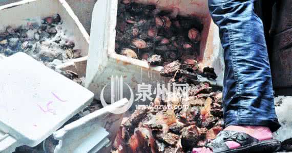 鲍鱼怎么储存 死鲍鱼怎么储存？
