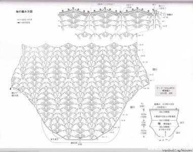 钩针风铃图解 【女款系列】钩针中袖白色风铃花镂空罩衫