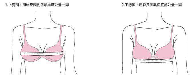 胸围怎么测量 胸围测量 胸围怎么测量