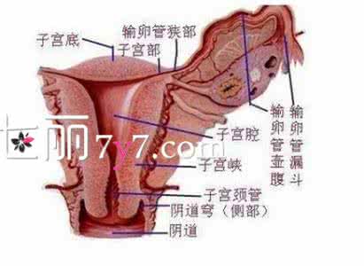 排卵期同房会出血吗 排卵期出血同房会怎样 排卵期出血能同房么