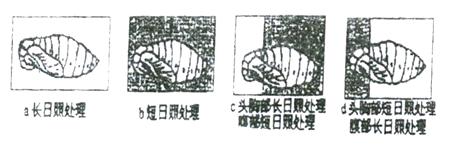 政治图表题解题方法 生物图表题解题方法