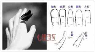 手指形状看性格命运 从手指形状判断你的性格及姻缘