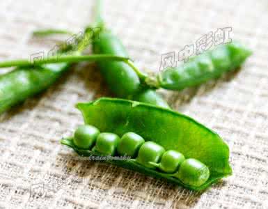 新鲜豌豆怎么保存 新鲜豌豆怎么保存 豌豆怎么保存