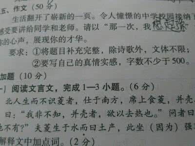 重新学习教作文（之一）