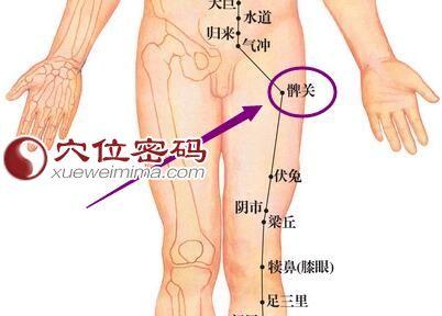 牙疼快速止疼法 敲打髀关穴止牙疼