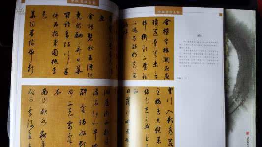 中国书法全集 中国书法全集（49册）