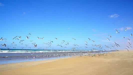 阿尤恩地图 阿尤恩