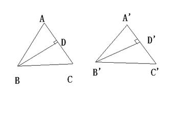 初一数学全等三角形 【数学】玩转全等三角形！