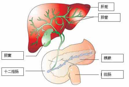 肾结石食疗方 一次治癒所有結石食療方