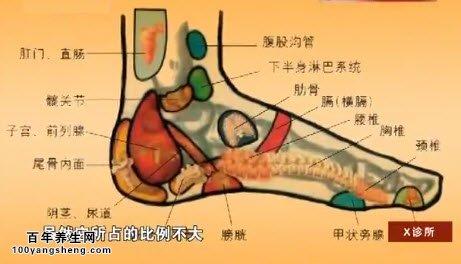 跟腱断裂 20150915X诊所视频和笔记:庞坚,跟腱断裂,大米疗法,踝关节扭伤