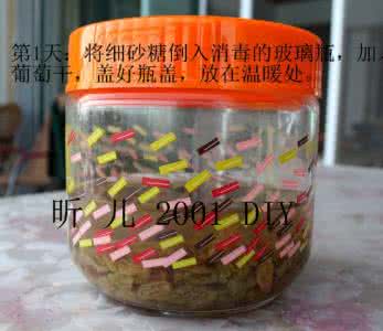 自制发酵剂 自制酵种