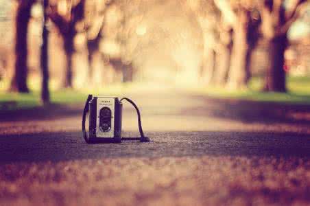 形容贪心不知足的句子 贪心与知足的哲理