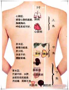 心脏经络图 经络心脏保养操(视频教学)