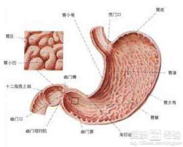 胃毛细血管扩张症 胃血管扩张是怎么回事？