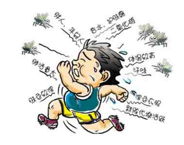 蚊子叮咬后留下小红点 教你一下咋样让蚊子不咬你!!