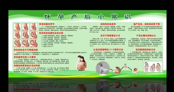 怀孕常识大全 怀孕常识
