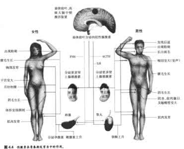 纵欲过度的体相特征 青春期的特征 青春期特征_青春期的特征